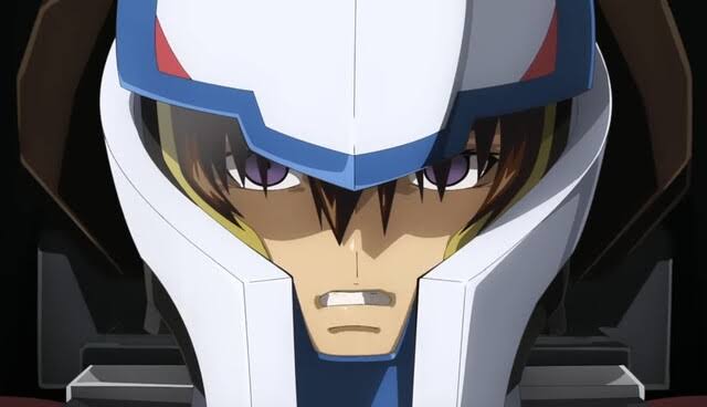 [Mobile Suit Gundam SEED] But I also have weapons!