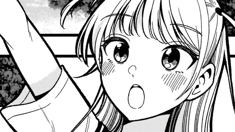 Japan Otaku Reviews