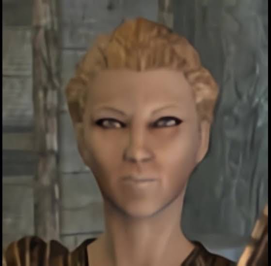 [The Elder Scrolls V: Skyrim] “I guess they are a nice person, but…”