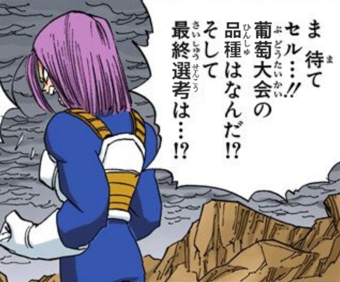 [Dragon Ball] Wait, Sel…! What variety is the grape tournament?!