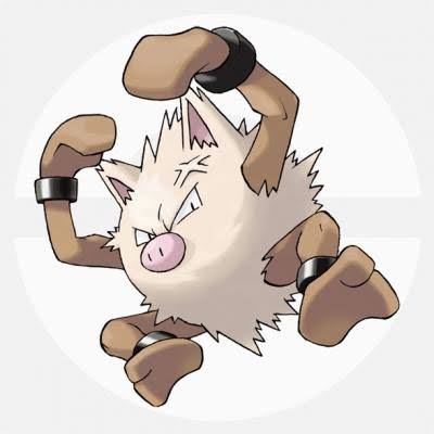 [Pokémon] Is this guy really a monkey?