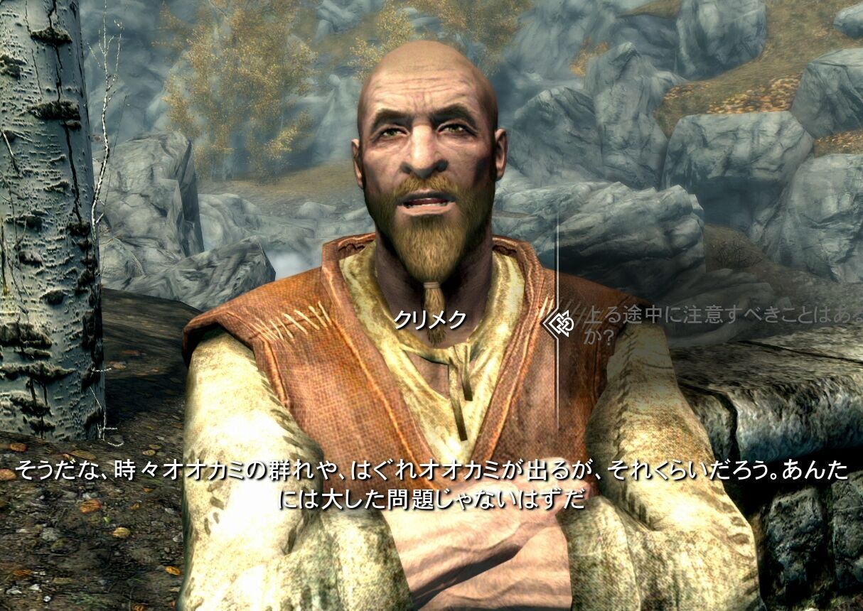 [The Elder Scrolls V: Skyrim] There are packs of wolves, but it’ll be fine, right?