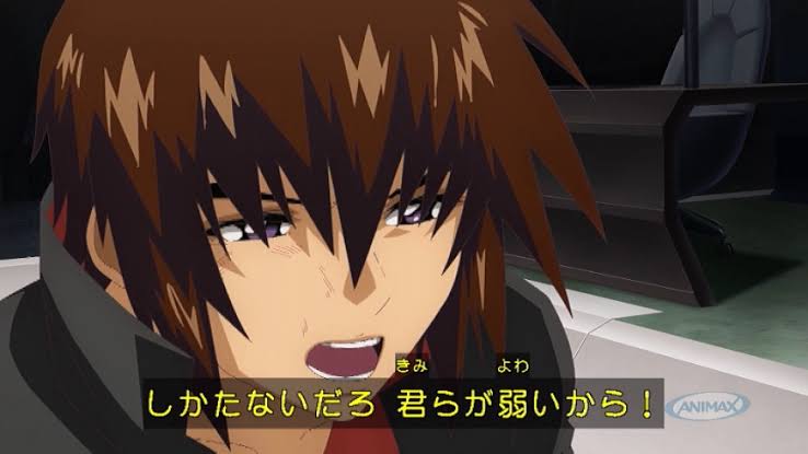 [Mobile Suit Gundam SEED] I’m the only one who can do the dragoon test!