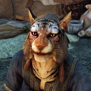 [The Elder Scrolls V: Skyrim] To put it clearly, they can be considered trash on a racial level.