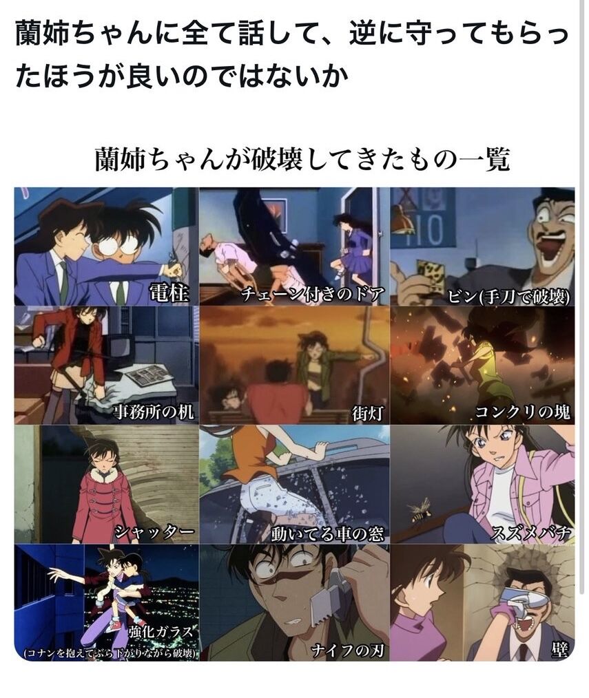 [Case Closed] Let’s have Ran-neechan protect us.