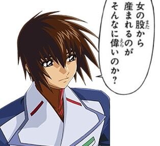 [Mobile Suit Gundam SEED] Is it really that great to be born from a woman’s womb?