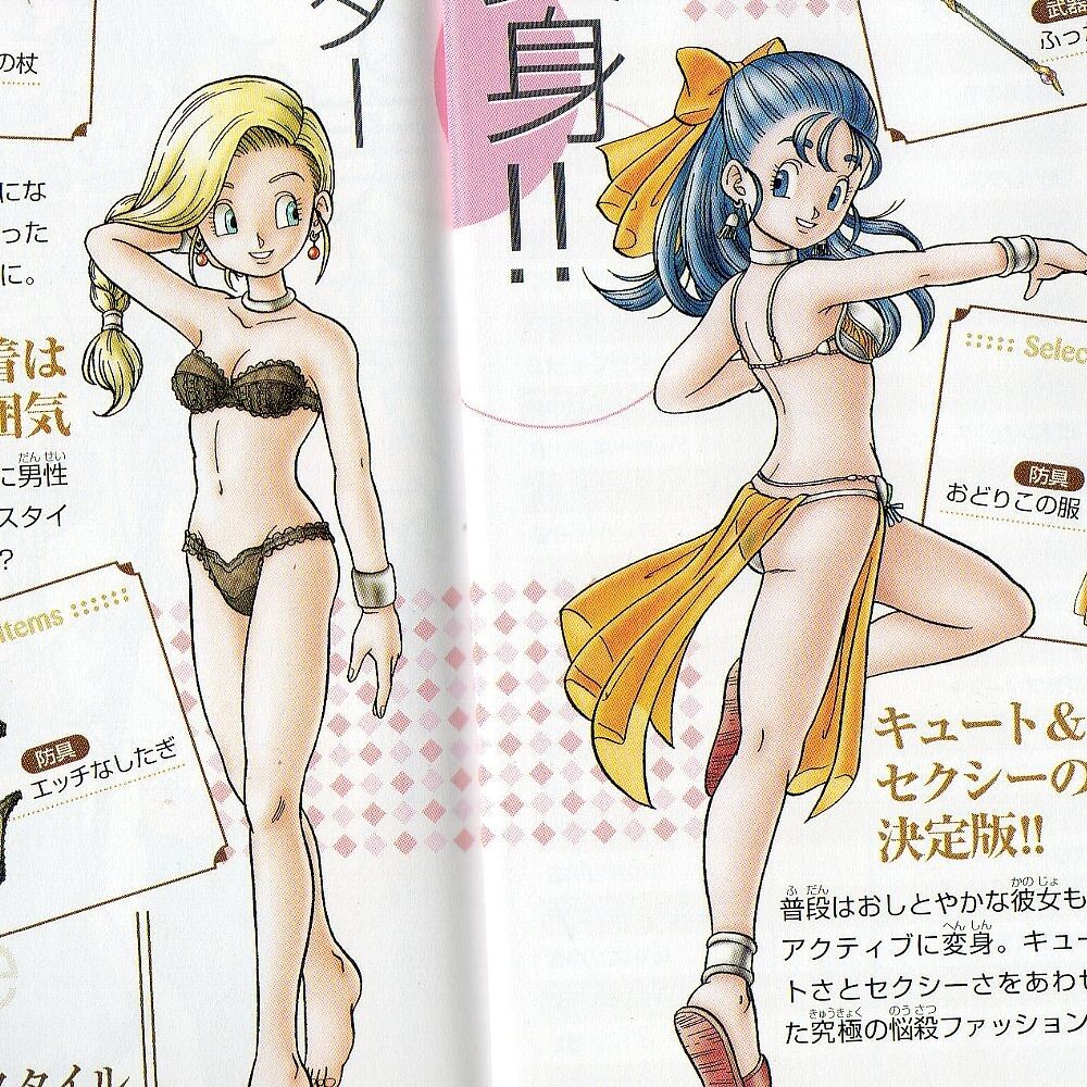 [Dragon Quest] Is it allowed to take the queen around everywhere in erotic underwear?